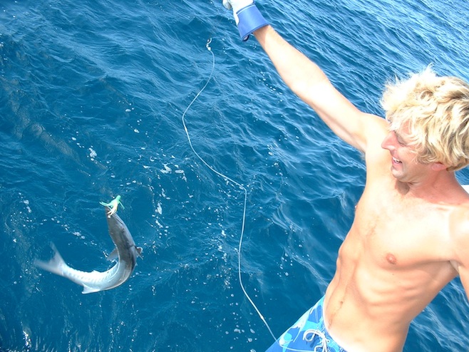 Baracuda